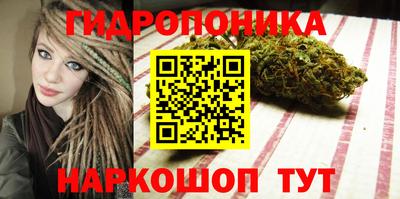 крисы Бузулук