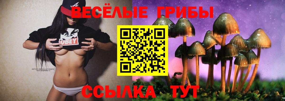 Псилоцибиновые грибы Psilocybine cubensis Лысьва